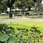 Echo Park Lake Recreation Center