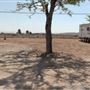 Wee Vill Market in Winterhaven RV Park