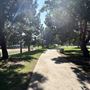 Clover Park