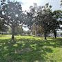Culver City Park Bill Botts Field
