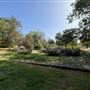 Elysian Park - Angels Point