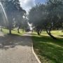 Edward Vincent Park
