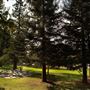 Spring Lake Regional Park