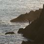 Stillwater Cove Regional Park