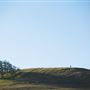 Taylor Mountain Regional Park