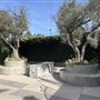 Hollywood Forever Cemetery