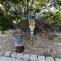 Serrania Park