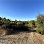 Serrania Park
