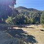 Camp Williams Resort