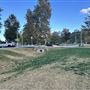 Central Park