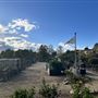 Central Park