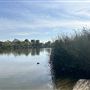 Ken Malloy Harbor Regional Park & Machado Lake