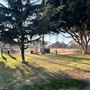 Cheviot Hills Park