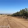 Tejon Ranch