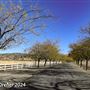 Tejon Ranch