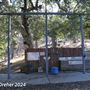 Tejon Ranch