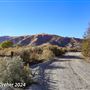 Tejon Ranch