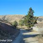 Tejon Ranch