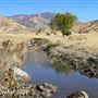 Tejon Ranch