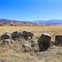 Tejon Ranch
