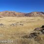 Tejon Ranch