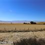 Tejon Ranch