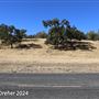 Tejon Ranch