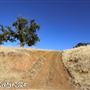 Tejon Ranch