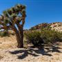 Antelope Valley Indian Museum State Historic Park (SHP)