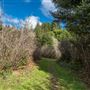Azalea State Natural Reserve (SNR)