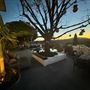 Windrose Ranch
