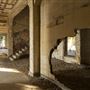 Angel Island State Park (SP)