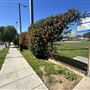 Orange Grove Park