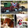 River Oaks Ranch
