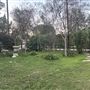Northridge/Sherwood Forest Acre Lot