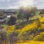 Stanislaus River, Stanislaus County