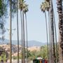 Coyote Ranch