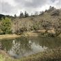 Long Creek Ranch