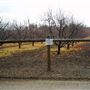 Calico Ranch Apple Orchard