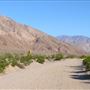 Clark Dry Lake @ Anza-Borrego Desert State Park