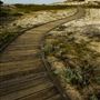 Asilomar State Beach and Conference Grounds