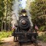 Skunk Train - California Western Railroad