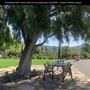 Enchanted Elfin Forest Home on 2 private acres
