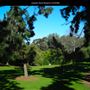 Junipero Serra Museum