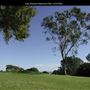 Kate Sessions Memorial Park
