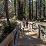 Big Basin Redwoods State Park (SP)