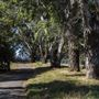 Brannan Island State Recreation Area (SRA)