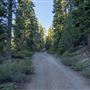 Burton Creek State Park (SP)