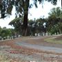 Mt. Hope Cemetery