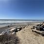 Torrey Pines State Beach (SB)